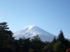 Fuji-san