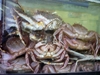 Landestypisches